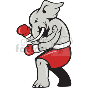 elephant republican boxing