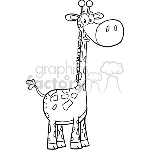   This is a black and white clipart image of a giraffe with an exaggeratedly large, round nose and eyes positioned on stalks on top of its head, giving it a humorous appearance. The giraffe