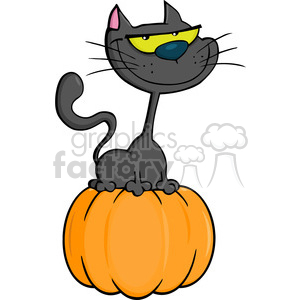 6620 Royalty Free Clip Art Halloween Cat On Pumpkin Cartoon Illustration