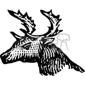 A black and white clipart image of a deer with prominent antlers.