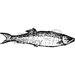 Black and white clipart image of a fish.