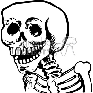 Clipart image of a grinning human skeleton with a prominent skull and spine in a vintage style.