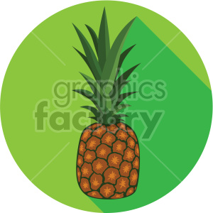 pineapple on circle background flat icons