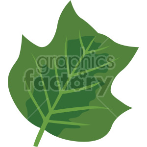 leaf no background