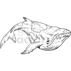   The clipart image shows a black and white illustration of a realistic-looking whale in the ocean. The whale