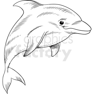 The clipart image displays a line drawing of a dolphin. The dolphin appears to be in a side profile view, with visible details such as its eye, beak-like mouth, dorsal fin, pectoral fin, and tail flukes.
