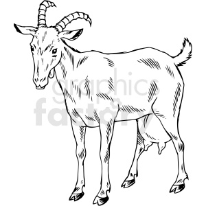 This clipart image depicts a line drawing of a goat standing in profile. The goat has prominent horns and a calm expression.