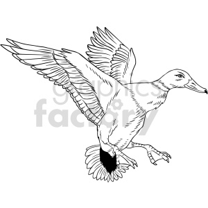 A black and white clipart image of a duck in mid-flight with wings spread wide.