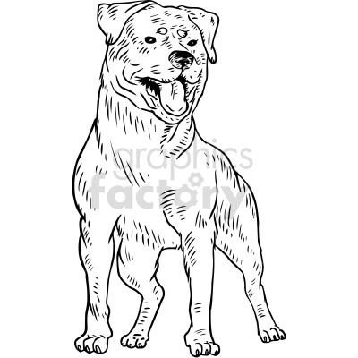 A detailed black and white clipart illustration of a dog standing with its tongue out. The dog has a muscular build and is depicted with a high level of artistic detail.