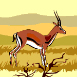 Gazelle standing in field