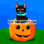 Halloween_pumpkin_cat001