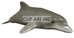 animated  dolphin