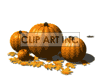 animated pumpkin patch with leaves falling