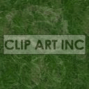 Clipart image of green grass texture with subtle color variations, and a faint flower.