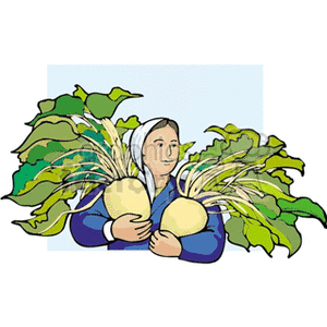 In the clipart image, there is a woman holding two large rutabagas with their leafy tops. She appears content and is wearing what seems to be traditional or country-style clothing, which may suggest a farm setting or that she's engaged in agricultural activities, such as gardening or harvesting.