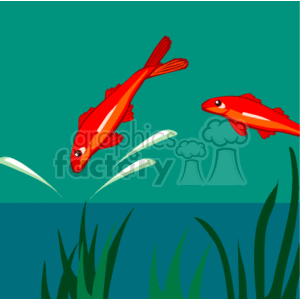 This cartoon shows 2 fish jumping out of the water. They could be goldfish, or similar. The water has splashes showing in it, which gives the appearance of jumping. There is green floating grasses or reeds in the water