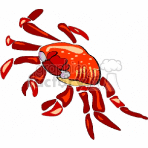 Colorful Crab Illustration