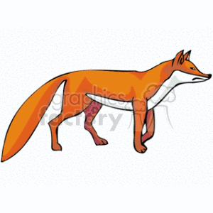 Illustration of a Sly Red Fox