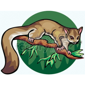 Genet or Civet Illustration on Branch Clipart