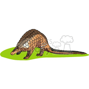   The clipart image shows an animal that closely resembles an anteater with its elongated snout and long tail, commonly associated with anteaters. It has a textured skin that might lead some to confuse it with an armadillo. However, armadillos have a more distinct armored shell. The coloration and body shape suggest it