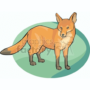 This clipart image depicts a stylized illustration of a red fox standing on a patch of ground with a vague green background. The fox has a distinctive orange-red coat, a white underbelly, pointed ears, and a bushy tail often associated with red foxes.