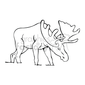 The clipart image shows a line art drawing of a moose standing. It is a vector image, meaning it can be resized without losing quality.