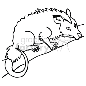 The clipart image shows a possum perched on a tree branch. The possum is facing right, and its tail hangs down from the branch. 