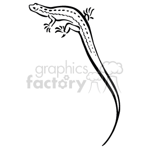 The image is a black and white line drawing of a lizard. The lizard is depicted in a side profile with its body curving gracefully. It has a long tail, four limbs with noticeable digits, and you can see some detailing that indicates the texture of its skin. This kind of artwork might be used in educational materials, designs, or as a graphic element in various media.