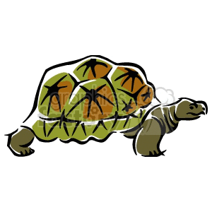 Cartoon Green Turtle
