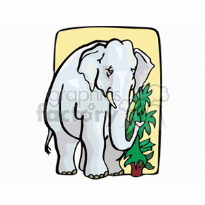 Asian elephant standing next to green foliage
