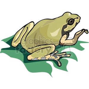 This clipart image shows a cartoon illustration of a frog posed on a green leaf, suggestive of a natural, water-adjacent environment which is typical for amphibians.