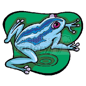 Blue tree frog