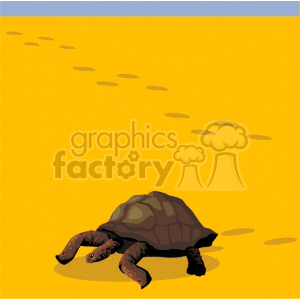 Turtle walking across sand