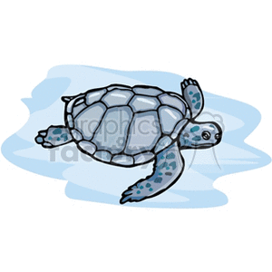 Blue sea turtle swimming