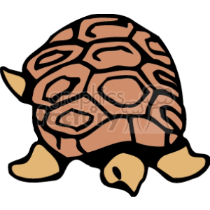 The image features a stylized representation of a tortoise. It's an abstract, cartoon-like illustration with brown patterns on the shell and lighter colors for the limbs and head.