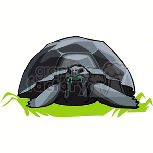 The clipart image depicts a stylized cartoon tortoise with a large, dark grey shell. The tortoise has its head and front legs extended out from the shell and appears to be munching on some green leaves. It has a pair of eyes visible and it’s sitting on a small patch of grass.