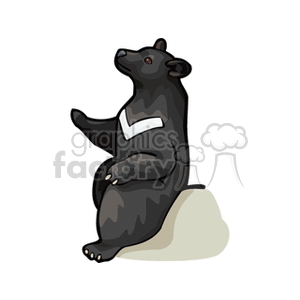 The image displays an illustrated black bear seated on a rock or ground, looking upwards. The bear is depicted in a cartoon style and uses simple shading to add depth to the figure.