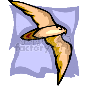 Abstract flying falcon