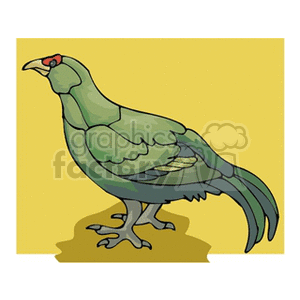 The clipart image features a stylized illustration of a bird, specifically resembling a black grouse, with notable characteristics such as the prominent red wattle above the eye and a dark-colored plumage highlighted with green tones.