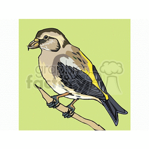 Clipart image of a colorful bird sitting on a branch against a green background. The bird has shades of brown, yellow, and black feathers.