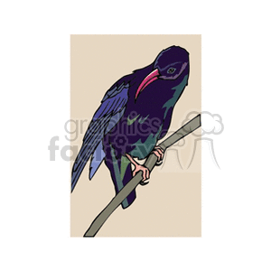 A colorful clipart image of a bird with vibrant purple and blue feathers, perched on a branch.