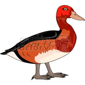 A colorful clipart illustration of a duck with red and orange plumage.