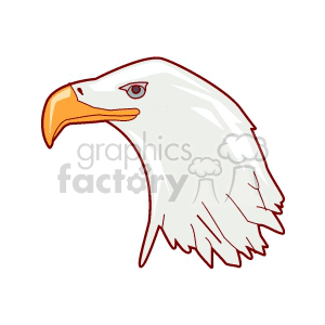 A clipart image of an eagle head with a white feathered head and an orange beak.