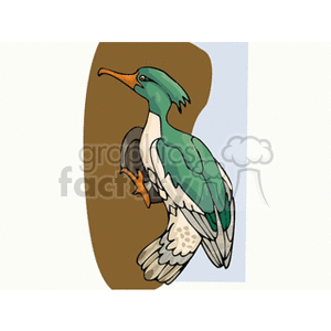Clipart image of a colorful bird with green and white feathers and an orange beak, perched on a brown surface.