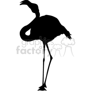 Silhouette of a standing flamingo