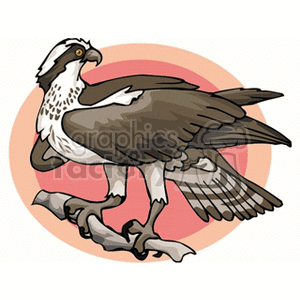 Clipart illustration of an osprey bird perched on a branch against a red circular background.