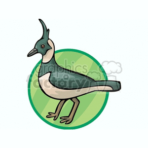 A clipart image of a bird with a distinct feather on its head, standing inside a green circular frame. The bird has dark green and white plumage.