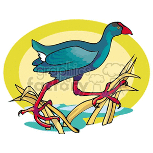 Colorful illustration of a bird with red beak and legs, standing on twigs with a yellow and blue background.