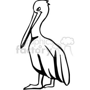 A black-and-white clipart image of a pelican standing.