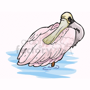 Clipart image of a bird standing in water with a distinct large beak and soft pink feathers.